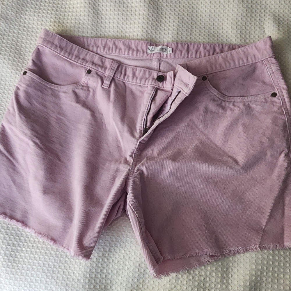Carve Designs Light Pink Jean Shorts